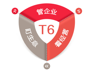 用(yòng)友(yǒu)T6